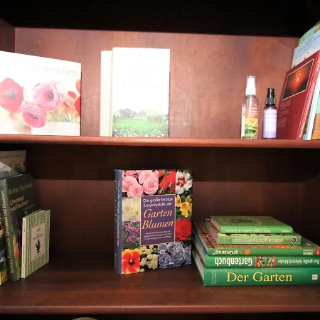 Evelyne By Interhome Appartement Zirl